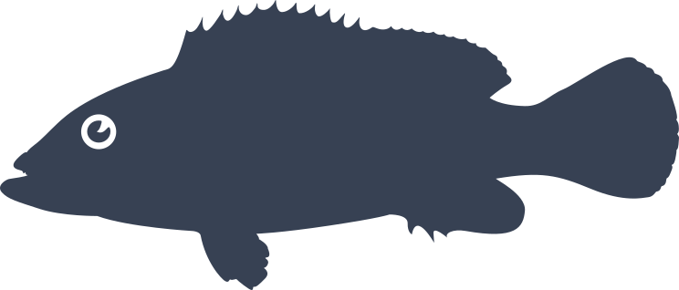 Dusky Grouper Fish Sticker