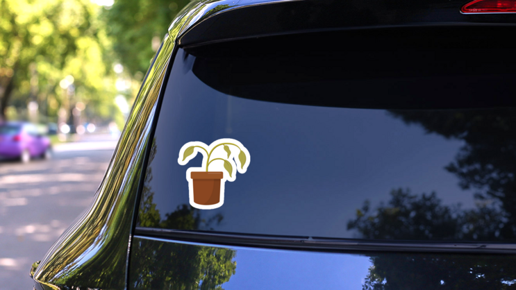 Dying Dry Dead Houseplant Sticker on a Rear Car Window (New) example