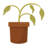 Dying Dry Dead Houseplant Sticker