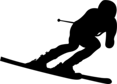 Dynamic Alpine Skier Sticker