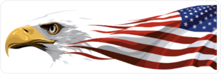 Eagle and USA Flag Sticker