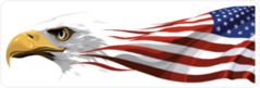 Eagle and USA Flag Sticker