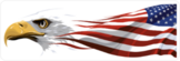 Eagle and USA Flag Sticker