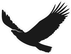 Eagle Flying Up Sticker