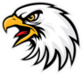 Eagle Head Sports Mascot Sticker
