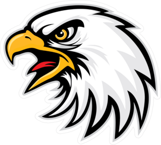 Eagle Head Sports Mascot Sticker