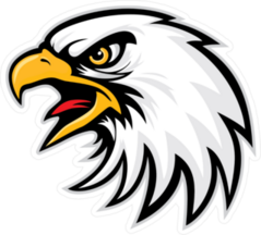 Eagle Head Sports Mascot Sticker