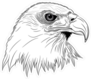 Eagle Head Sticker
