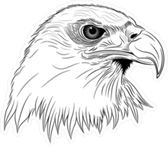 Eagle Head Sticker