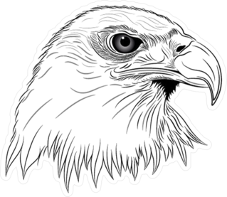 Eagle Head Sticker