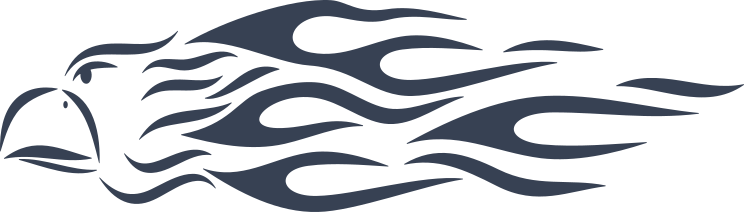 Eagle Head With Flames