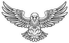 Eagle Illustration Sticker
