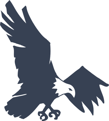 Eagle Landing Sticker