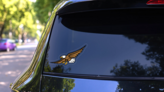 Eagle Mascot Sticker on a Rear Car Window (New) example