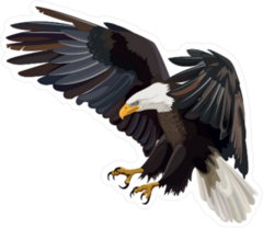 Eagle Vector Drawing Sticker
