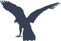 Eagle With Wings Up Sticker