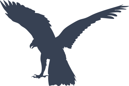 Eagle With Wings Up Sticker