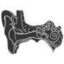 Ear Anatomy Icon Silhouette Illustration Sticker