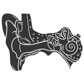 Ear Anatomy Icon Silhouette Illustration Sticker