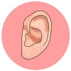 Ear Art In Pink Circle Sticker