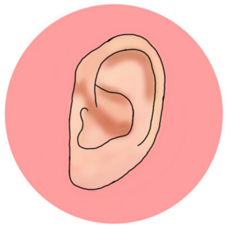 Ear Art In Pink Circle Sticker