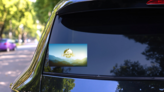 Earth Day Landscape Sticker on a Rear Car Window (New) example