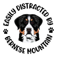 Easily Distracted Bernese Sticker