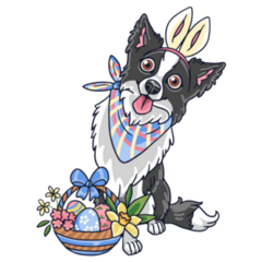 Easter Border Collie Sticker