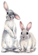 Easter Bunnies Watercolor Illustration Sticker