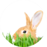 Easter Bunny In Green Grass Sticker