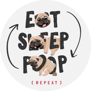Eat Sleep Poop Pug Sticker