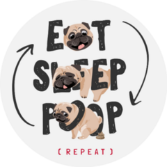 Eat Sleep Poop Pug Sticker