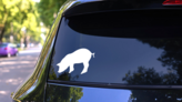Eating Pig Sticker on a Rear Car Window (New) example