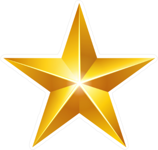 Elegant 3D Gold Star Sticker