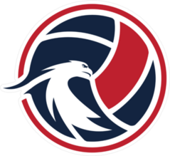 Elegant Eagle And Volleyball Sticker