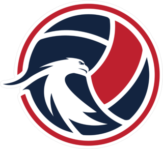 Elegant Eagle And Volleyball Sticker