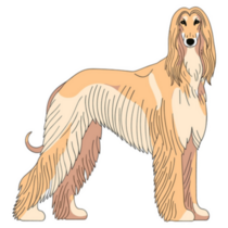 Elegant Saluki Sticker