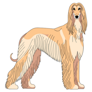 Elegant Saluki Sticker