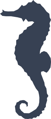 Elegant Seahorse Sticker