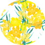 Elegant Seamless Pattern With Daffodil Flowers Sticker