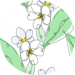 Elegant Seamless Pattern With Plumeria Flowers Sticker