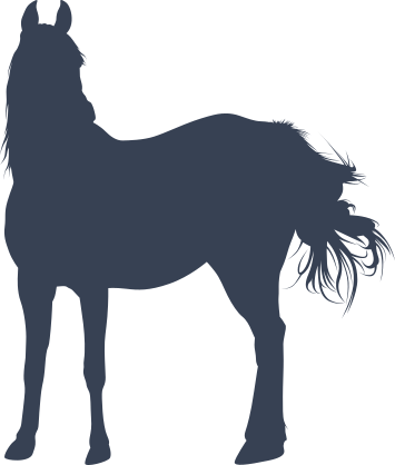 Elegantly Beautiful Horse Sticker