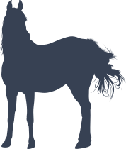 Elegantly Beautiful Horse Sticker