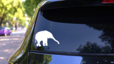 Elephant Holding Out Trunk Sticker on a Rear Car Window (New) example