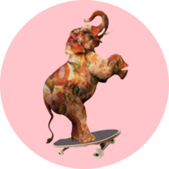 Elephant Pizza On Skateboard Sticker