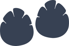 Elephant Prints Sticker