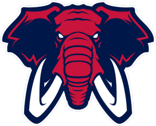 Elephant Sports Mascot Sticker