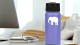 Elephant Sticker on a Water Bottle (New) example