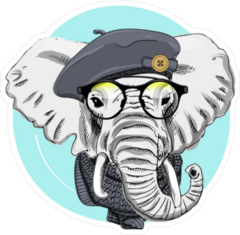 Elephant With Grey Beret Sticker