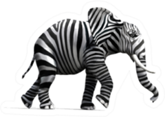 Elephant With Zebra Skin Sticker